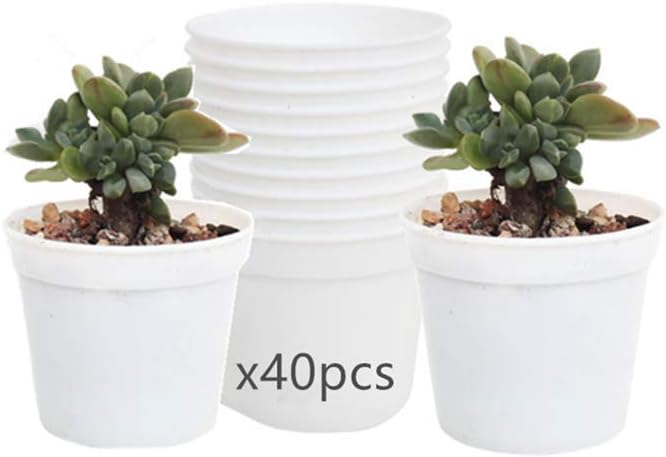 Round Succulents Plant Pots Drainage Hole, Set of 40 Mini Plant Pots 2.5" Wx2.25 H,Perfect for Plant Seeds,Seedling Nursery Transplanting Planter Container(White-40)