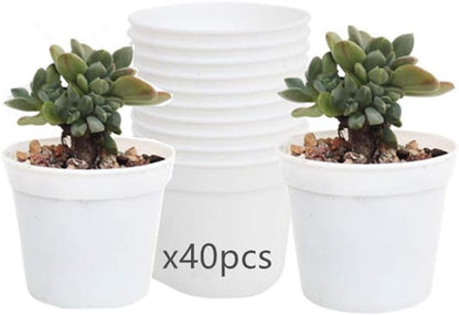 Round Succulents Plant Pots Drainage Hole, Set of 40 Mini Plant Pots 2.5" Wx2.25 H,Perfect for Plant Seeds,Seedling Nursery Transplanting Planter Container(White-40)