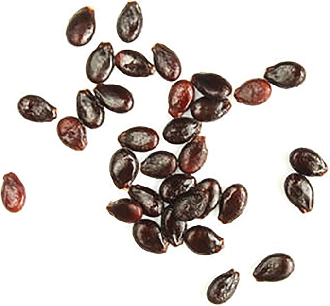 Georgia Rattlesnake Watermelon Seeds - Large Heirloom Watermelon