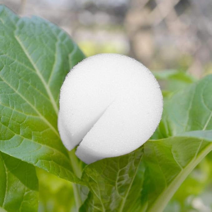 Hydroponic Sponge Planting Soilless Seedling Base Anti-dust Non-toxic Gardening Supplies 50 Pcs