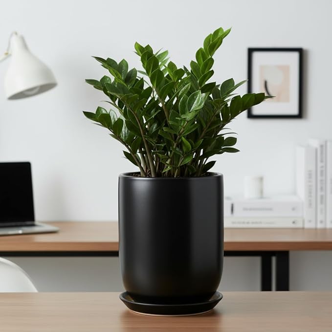 Ceramic Planter 8 Inch - Plant Pot for Indoor Outdoor Plants Cylinder Flower Pot with Drainage Hole and Saucer Black