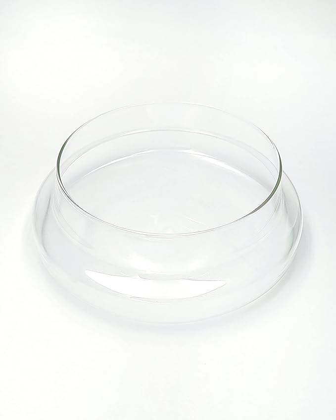 Handblown 10" Glass Terrarium with Opening for Air Flow & Cork Stopper Cloche Style Glass Dome Vivarium Display Case (Large)