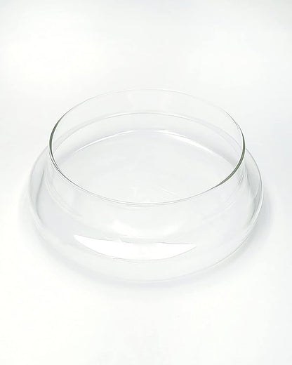 Handblown 7" Glass Terrarium with Opening for Air Flow & Cork Stopper Cloche Style Glass Dome Vivarium Display Case (Small)
