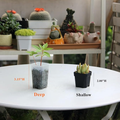 BangQiao 180 Pack 1.95 Inch Tiny Clear Plastic Square Nursery and Seedling Pot, Mini Deep Transplant Seed Starter Planter with Drain Hole for Germination, Herb, Succulent