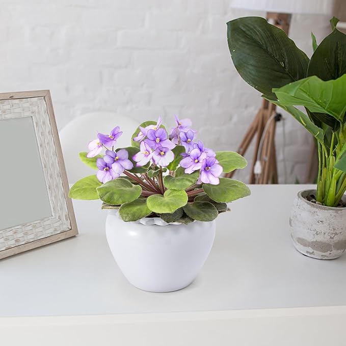 African Violet Flower Pot Ceramic Self Watering Flower Pot 6.5 * 4.6 * 4 inch Simple Plant Self Watering Pot Indoor Flowers High Absorption Herbaceous Flower Pots Modern Decor Pots