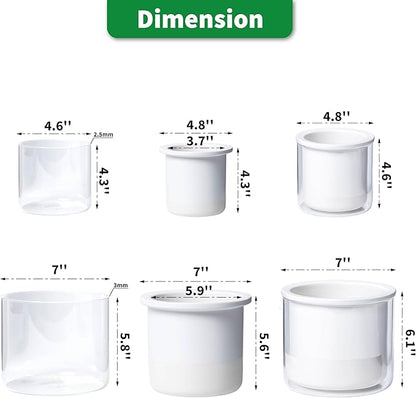 Phoenix Vine 6 Inch 4 Inch Self Watering Planter Pots, Design White Terracotta Pots for Plants, Indoor Cylinder Terra Cotta Pots with Glass Vase Set, 51-B-G-46