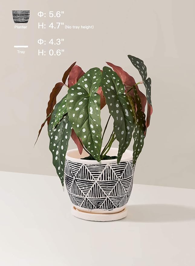 LE TAUCI 5.5 Inch Boho Plant Pots Indoor, Artisanal Cement Pots for Plants, Succulent Pots with Drainage Holes and Saucers, Planters for Indoor Plants, Set of 2, Black and Cream White