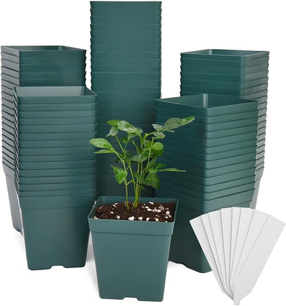 June Fox 100 Pack Green Square Nursery Pots with Drainage Holes 3.3 Inches Flexible Plastic Seedling Pots Square Pots for Plants, Succulent, Flower, with Plant Labels