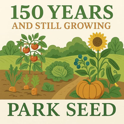 Park Seed Variety of Tomato Seeds, Planting Vegetables, Easy to Grow, Non-GMO, Perfect for Harvesting, Chef's Choice Black, Pack of 30
