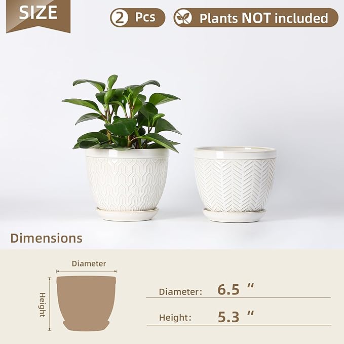 Sureasy 6.5 Inch Ceramic Plant Pots, Embossed Decorative Planters with Drainage Hole and Saucer, Modern Flower Pots for Indoor Plants, Set of 2, Glazed White
