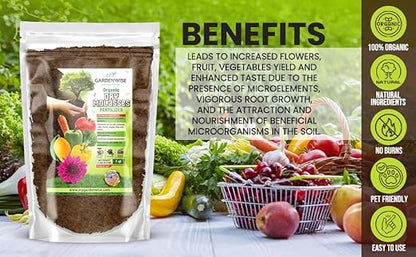 Organic Molasses for Plants - Horticultural Molasses - Ideal for Traditional & Hydroponic Gardening, for Indoor & Outdoor Plants (1 Quart)