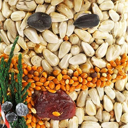 Mr. Bird Christmas Shapes Bird Seed Ornament Treats... (1)