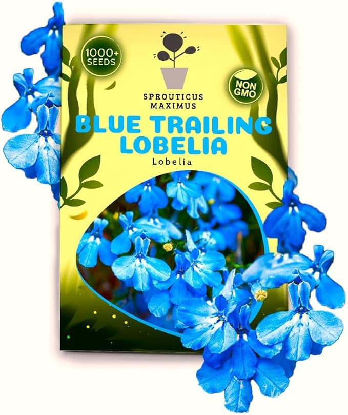 Seeds Blue Lobelia Cascade 1000+ Seeds to Grow Compact Plant Groundcover
