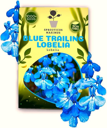 Seeds Blue Lobelia Cascade 1000+ Seeds to Grow Compact Plant Groundcover