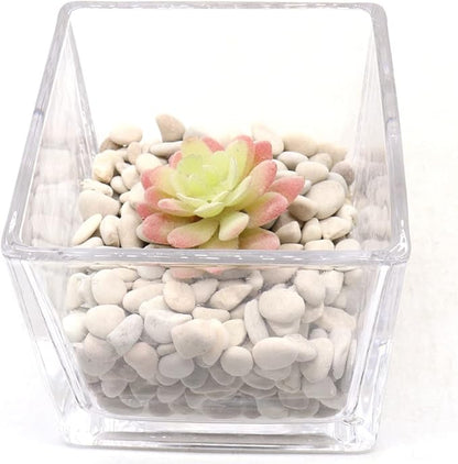Rocks - Cream White Decorative Pebbles, 3/8 Inch - 10 lbs. Landscaping and Garden Stones, Suitable for Succulents and Pots