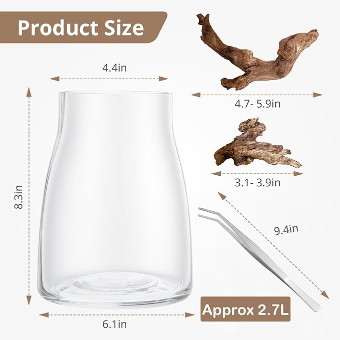 Desktop Glass Plant Terrarium with Grow Light, for Moss, Succulent, Miniature Gardening Landscape, Betta Fish Tank, Desktop Decorations for Home and Office, Plant Lovers Gift (2.7L, H:8.3" D:6.1")