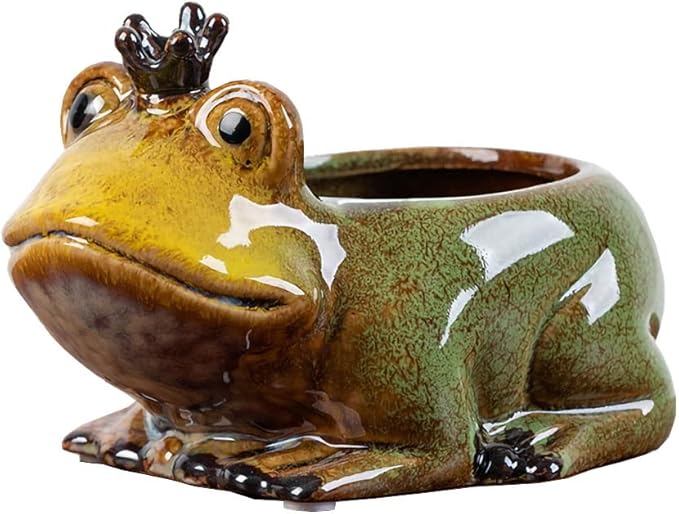 WAIT FLY Cute Animal Ceramic Flower Pot Succulent Planter-Frog