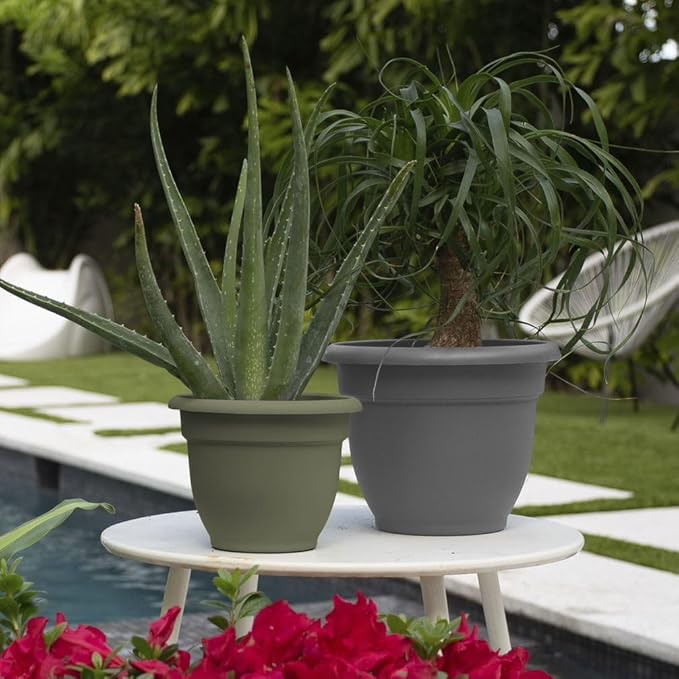 Bloem Ariana 10" Charcoal Round Self-Watering Resin Planter Pot - Rolled Rim Indoor and Outdoor Gardening Planter