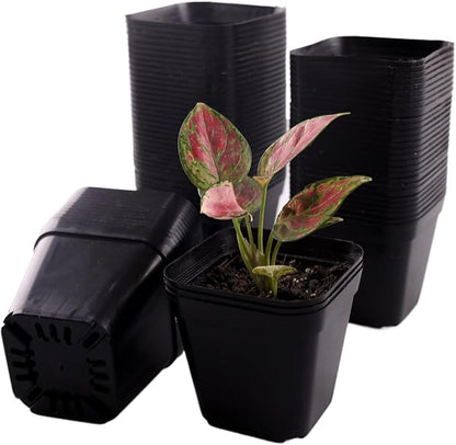 100 Packs Square Nursery Pots for Plants 4 Inch Succulent Plant Pots Set Plastic Seedling Starting Pots with Drainage Holes Nursery Pots Variety Pack Flower pots Planter Seed Starter, Black