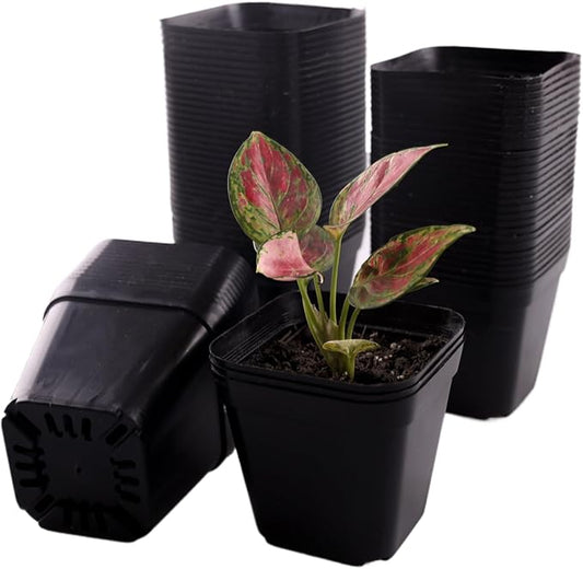 100 Packs Square Nursery Pots for Plants 4 Inch Succulent Plant Pots Set Plastic Seedling Starting Pots with Drainage Holes Nursery Pots Variety Pack Flower pots Planter Seed Starter, Black