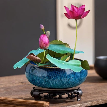 Lotus Bowl Planter, Lotus Bowls for Planting in Water Indoors, Bonsai Bowl Lotus Flower Seeds, Ceramic Planters for Indoor Plants (Dark Blue)