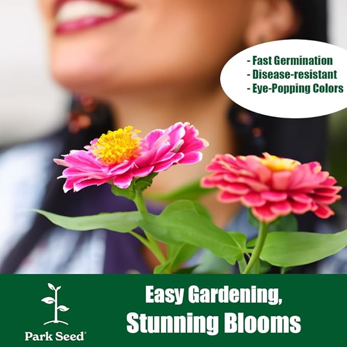 Park Seed Zinnia Flower Planting Seeds, Easy to Grow, Perfect for Spring Garden, Pinca, Pack of 50