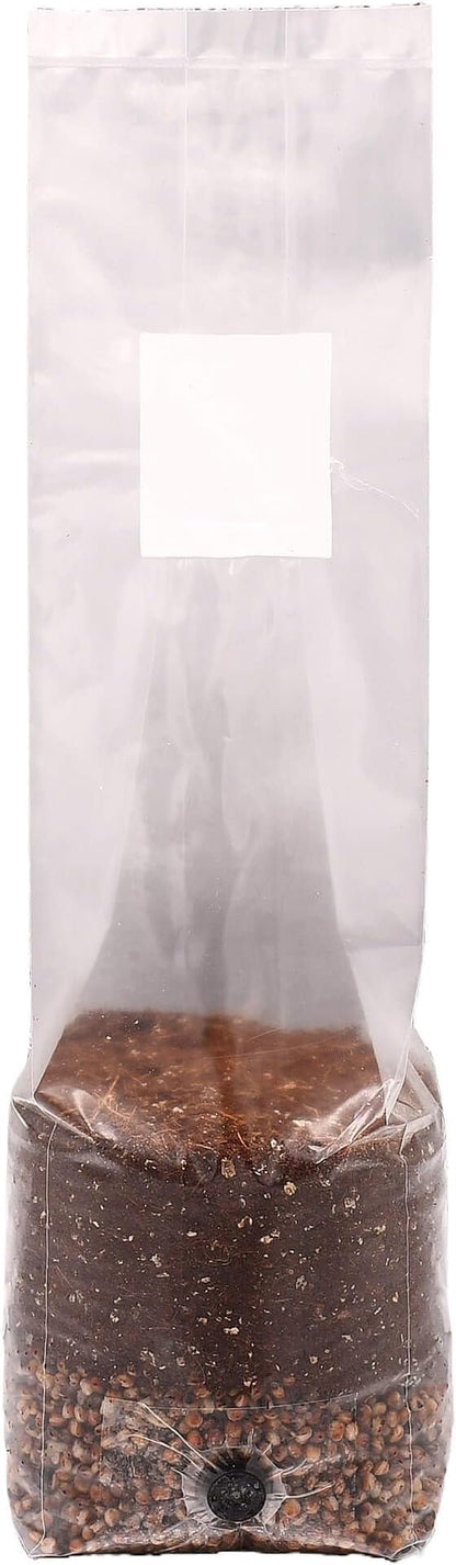 Mini Red Milo All-in-One Mushroom Grow Bag