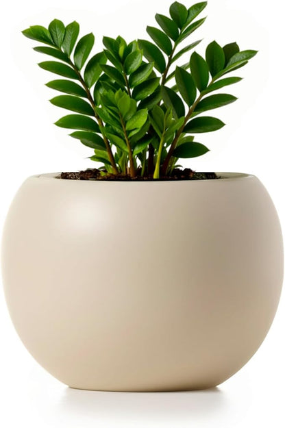 Ceramic Self Watering Plant Pot | 6.8 Inch Pot with 4.5 Inch Opening for Plant | Ivory Pot for Indoor Plants | Round Self Watering Planter | Bottom Watering Pots for Indoor Plants