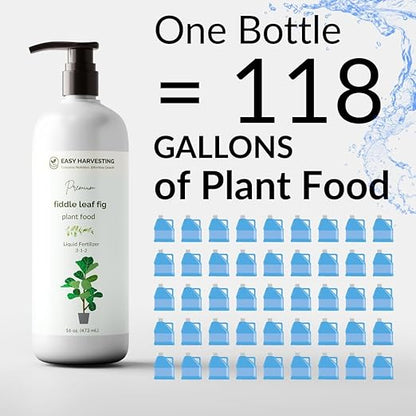 Fiddle Leaf Fig Fertilizer by Easy Harvesting – Premium 3-1-2 Liquid Plant Food | One Bottle Makes 118 Gallons | Pet Safe, Gentle Formula for Indoor Houseplants (16oz Pump Bottle)
