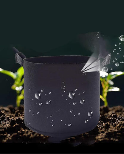 Ulalaza 2PCS Potato Grow Bags with Flap Plant Grow Bags Fabric Multi Ribbon Potato Bag Tomato Vegetable Growth Non-Woven Felt Planting Bag Transparent