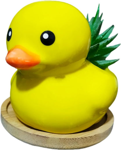 Cute Indoor Cartoon Animal Duck Shaped Ceramic Succulent Cactus Flower Plant Pots Planter with Drainage Hole - Plant Not Included (Small)