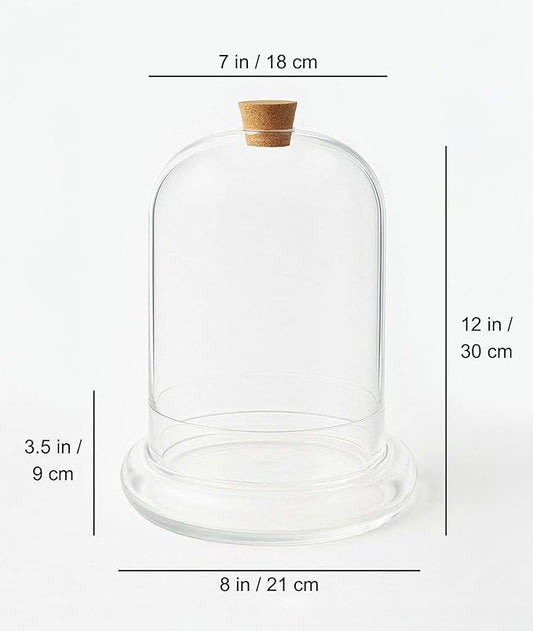 Handblown 12" Glass Terrarium with Opening for Air Flow & Cork Stopper Cloche Style Glass Dome Vivarium Display Case (Extra Large)