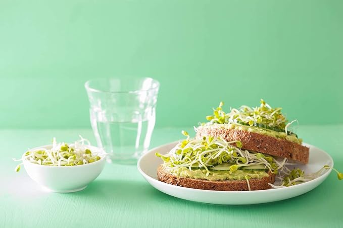 Food to Live Radish Seeds for Sprouting, 10 Pounds - Edible Seeds, Pure, Vegan, Kosher, Bulk. Rich in Vitamin C. High Germitation Rate. Grow Sprouts, and Microgreens for Salad, Sandwiches, Rolls.