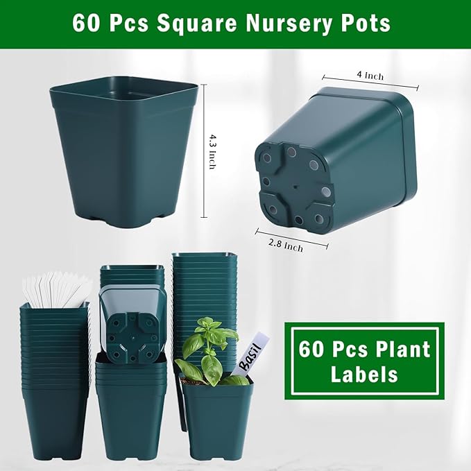 June Fox Plastic Seedling Pots, 60 Pack Square Nursery Pots 4 Inch, Small Plant Pots with Drainage Holes for Seedlings, Succulents, Cuttings (Green)