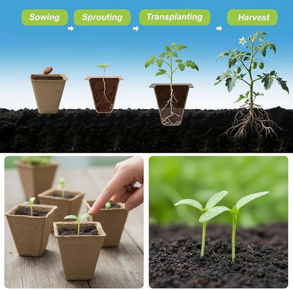 300 Cells Peat Pots Seed Starter Tray 30 Packs Biodegradable Seedling Pots Germination Trays Peat Pot for Seedling Organic Seed Starting Trays kit with (30 packs-300cells)