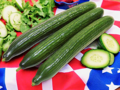 TomorrowSeeds - English Telegraph Improved Burpless Cucumber (English Cucumber) Seeds - 90+ Count - for 2026 Planting Hothouse Cucumbers Crisp European Near-Seedless Long Heirloom Vegetable