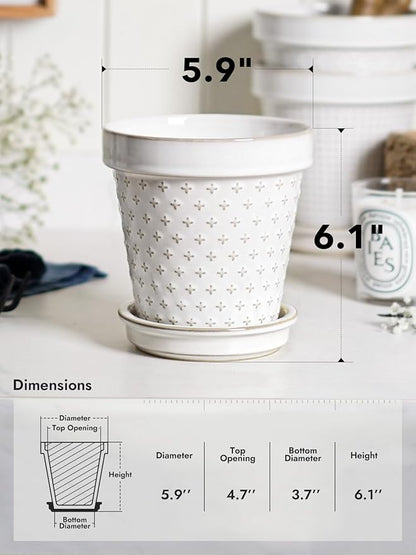 LE TAUCI Ceramic Plant Pots, 6 Inch Flower Pot with Drainage Hole & Saucer, Embossed Planter Pots for Indoor Plant Succulent, Orchid, Cactus, Home Decor - Set of 4, Arctic White