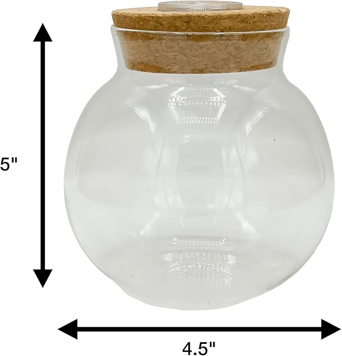 Silver Circle Products Unique Gardener: Glass Terrarium 2 Pack - 4'' with Cork & 3 LEDs - Light-Up Cork, Gardening Planter, Glass, for Succulents, Flowers & More