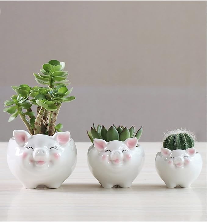 Cuteforyou Succulent Pots, Cute Animal Pig Shaped Ceramic Cactus Flower Planters -Plant Not Included (White, Small)