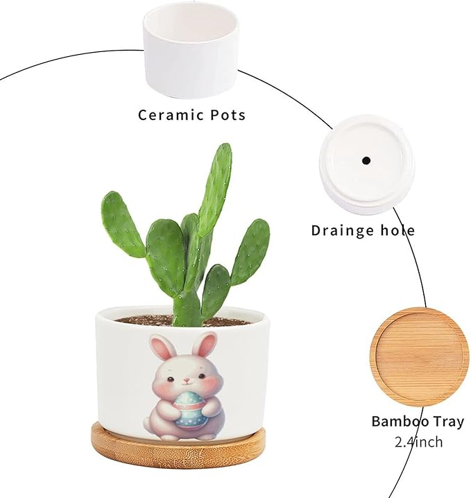 DreamAutumn Easter Bunny Rabbit Ceramic Planters Ceramic Pots with Saucers Orchid Pots for Plants Succulents Pots Office Desk Garden Balconys New Home Decor,Gifts for Mom Mother Grandmother