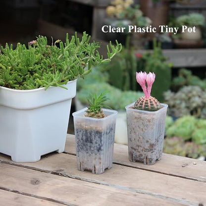 BangQiao 180 Pack 1.95 Inch Tiny Clear Plastic Square Nursery and Seedling Pot, Mini Deep Transplant Seed Starter Planter with Drain Hole for Germination, Herb, Succulent