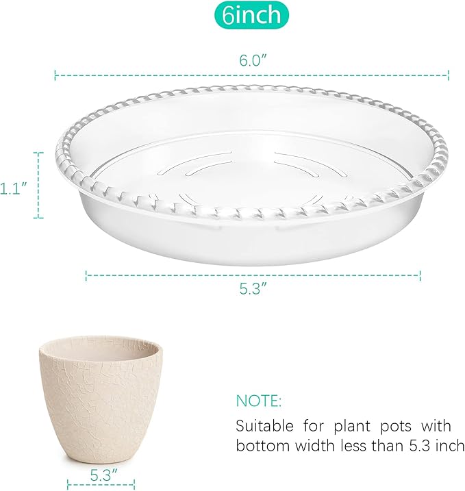 6 Pack Clear Plant Saucer 6 inch, Durable Plastic Plant Trays for Indoor, Round Flower Plant Pot Saucer, Sturdy Plant Water Catcher Tray