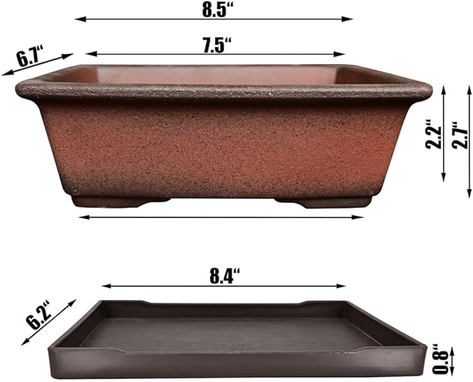 MUZHI Decorative Ceramic Bonsai Planter Pot 8.5 Inch with Tray, Breathable Unglazed Rectangle Terracotta Clay Pot for Tree Succulent Cactus Indoor Outdoor Red Brown