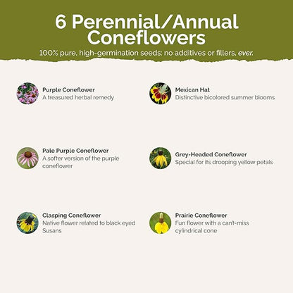 Eden Brothers Conehead Flower Mixed Seeds for Planting, 1 lb, 480,000+ Seeds with Prairie Coneflower, Mexican Hat | Attracts Pollinators, Plant in Spring or Fall, Zones 3, 4, 5, 6, 7, 8, 9, 10