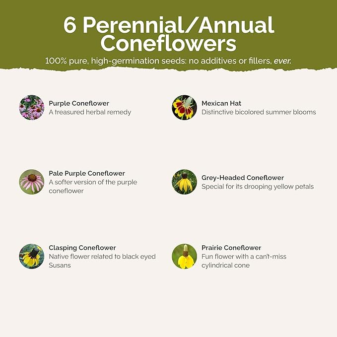Eden Brothers Conehead Flower Mixed Seeds for Planting, 5 lb, 2,400,000+ Seeds with Prairie Coneflower, Mexican Hat | Attracts Pollinators, Plant in Spring or Fall, Zones 3, 4, 5, 6, 7, 8, 9, 10