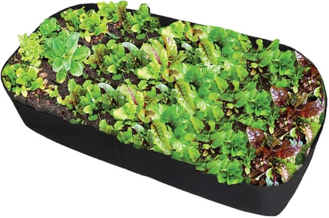 Fabric Raised Garden Bed, 2ft x 4ft Garden Grow Bags Planting Bed Rectangle Garden Containers for Vegetables Plants Flowers Outdoor
