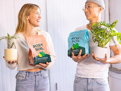 Rosy Soil Cactus & Succulent Potting Mix + Indoor Potting Soil - Peat Free House Plant Soil - Mix for Indoor Plants (4 Quarts Each)