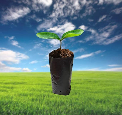 100 PCS Thicken Plastic Nursery Bags for Plants Fruit Flower Grow Bags Seedling Pots (6.69x11.81 in)
