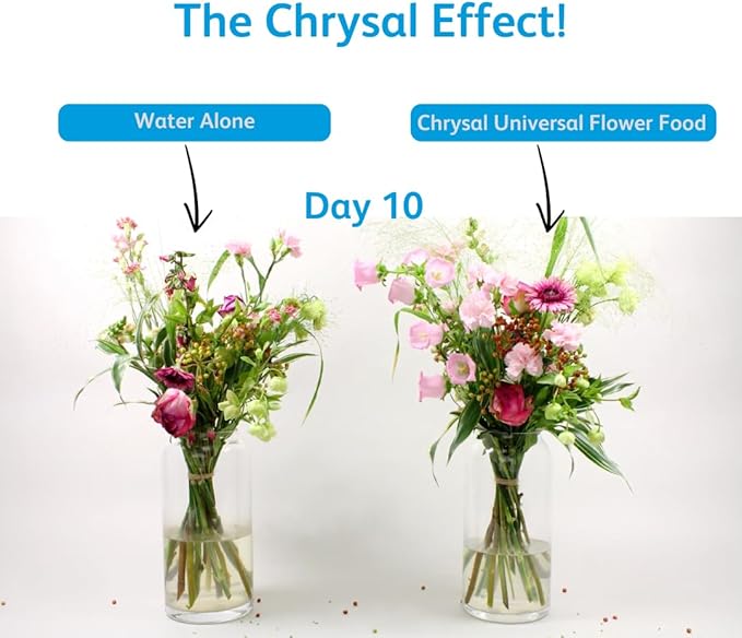 Chrysal Flower Boost – Clear Flower Food Packets for Flower Arrangements & Bouquets – Floral Supplies for Fresh Flowers – Fresh Flower Arrangements Supplies (10g - 100 Ct)