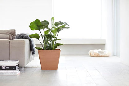 Ecopots Rotterdam Durable Modern Square Indoor/Outdoor Recycled-Based Composite Flower Planter, Terracotta Color, 12"